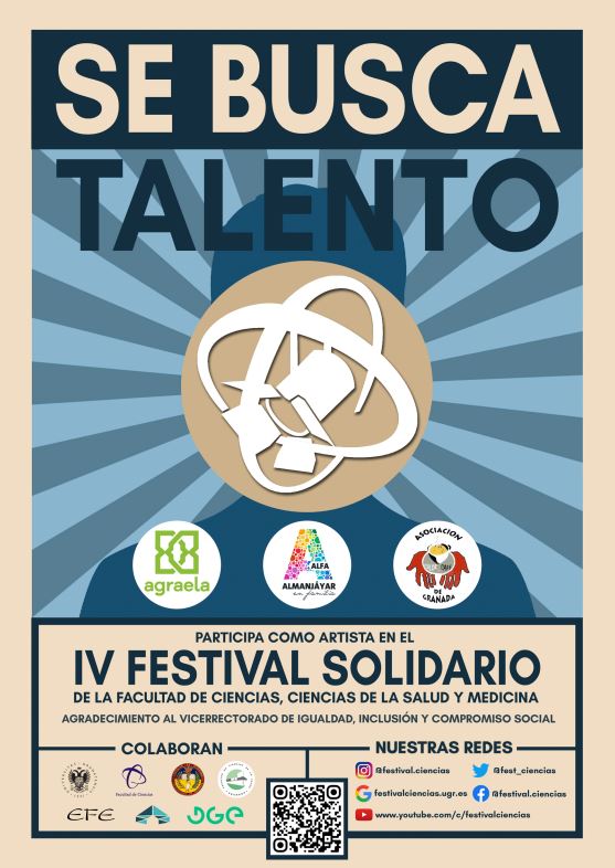 IV Festival Solidario