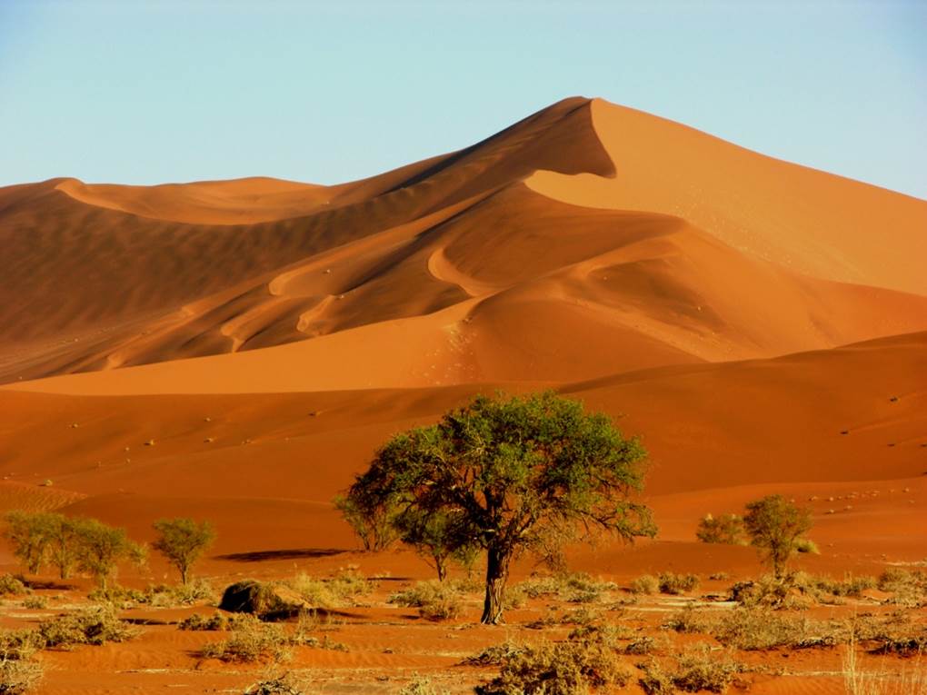 Desierto del Namib 